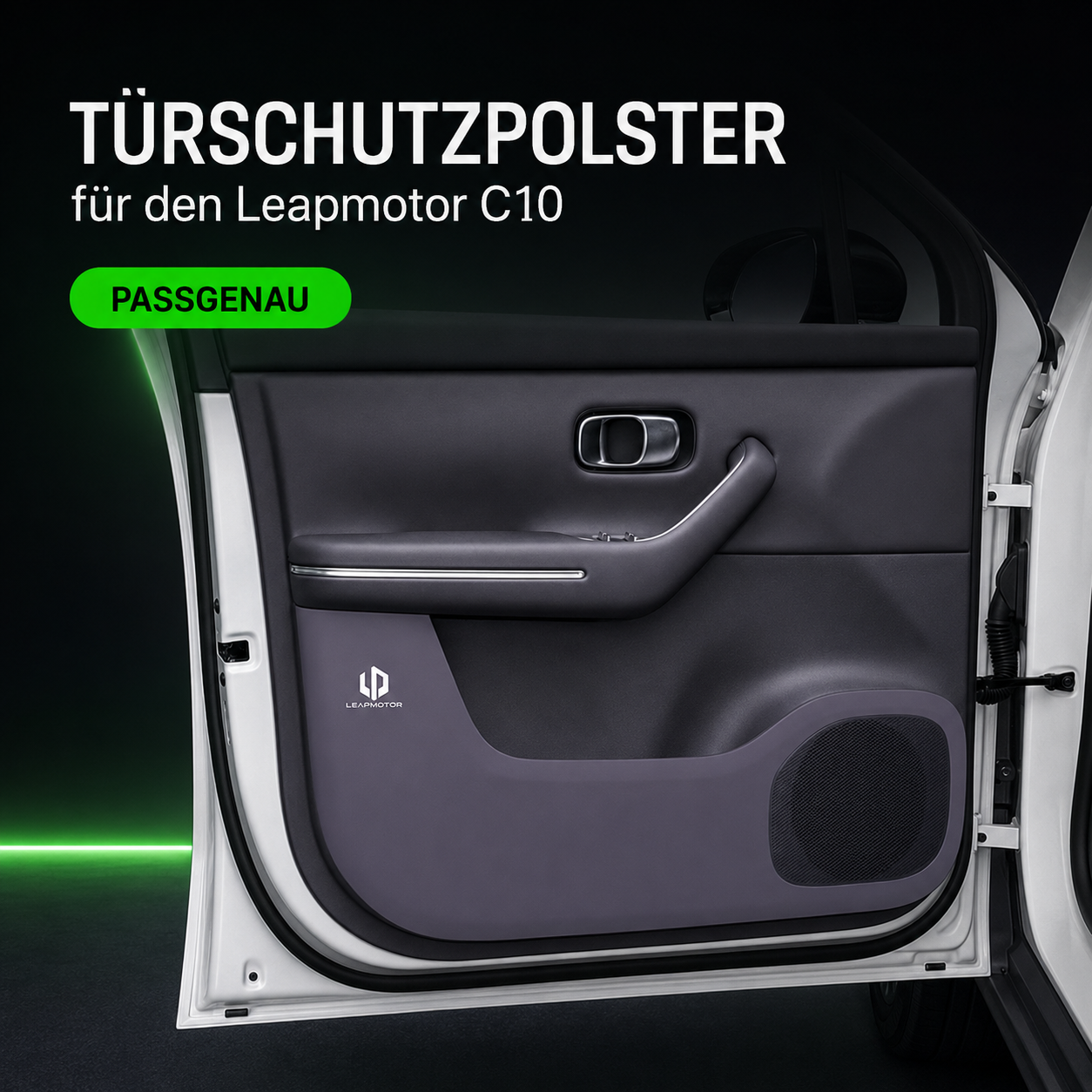 Türschutz für Leapmotor C10 – Detailansicht 1