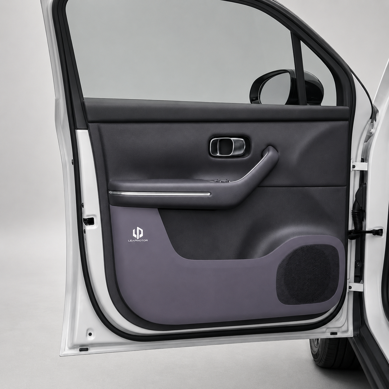 Türschutz für Leapmotor C10 – Übersicht